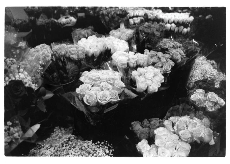 A black and white photo of many roses
